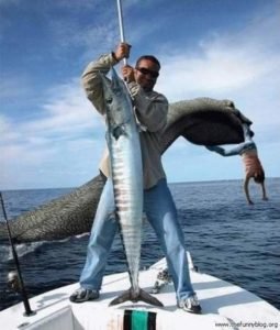 31819d1c4681acd55b6dad4f4cd59e4e-loch-ness-monster-gone-fishing