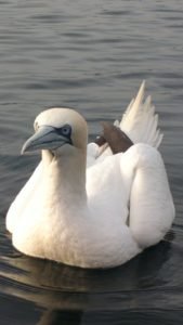 828