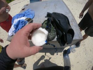 GOPR0065