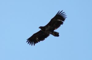 IMG_1679