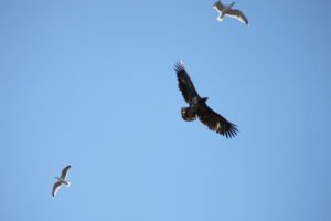 IMG_1681