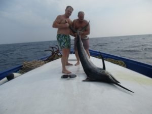 IMG_3729-800x600