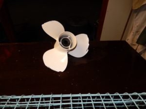 DSCN9767-800x600