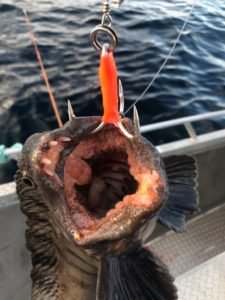 IMG-20180407-WA0002