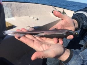 IMG-20180413-WA0005