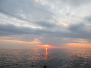 IMG_0258-800x600