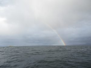 IMG_0338-800x600