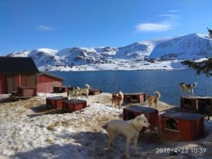 IMG_20180423_103929-1