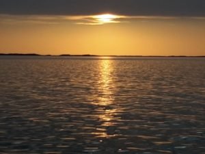 20180521_215910-800x600