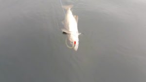 20180529_102809