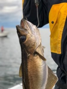 IMG-20180506-WA0028-600x800
