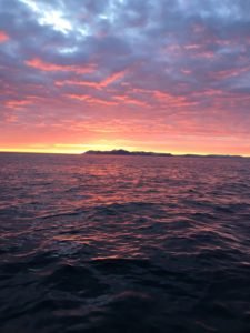 IMG-20180514-WA0008