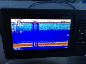 IMG-20180514-WA0010