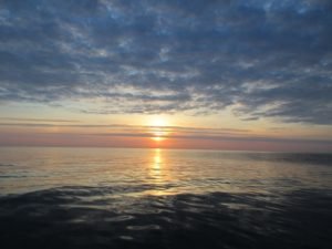IMG_0563-800x600