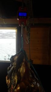 IMG_20180517_193643