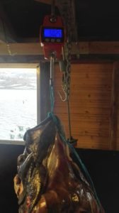 IMG_20180517_193645