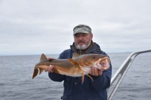 DSC_0171-800x534