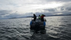 IMG_0620-800x450