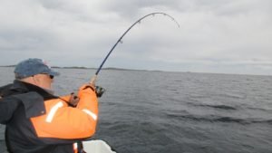 IMG_0689-800x450