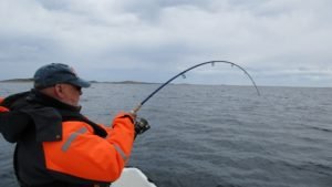 IMG_0690-800x450