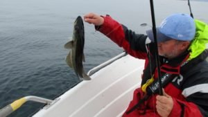 IMG_0694-800x450