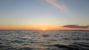 IMG_0706-800x450