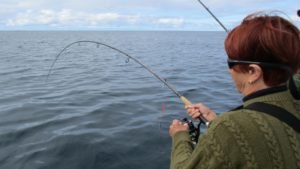IMG_0733-800x450