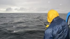 IMG_0749-800x450