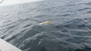 IMG_0809-1280x720