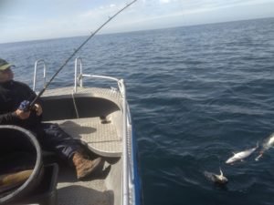IMG_20180627_140754-1280x960