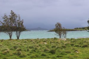 IMG_2616