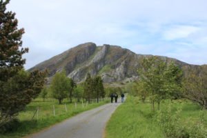 IMG_2617