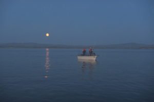 IMG_3405