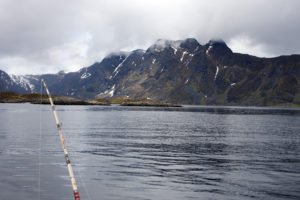 ostrovyvetretimfjordu2018