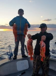 20180730_215955_1533030200428_resized-590x800
