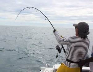 6-3