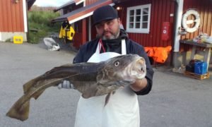 IMG-20180714-WA0005-800x480