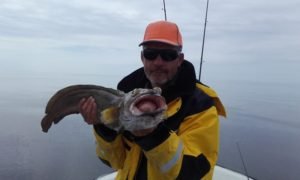 IMG-20180715-WA0000-800x480