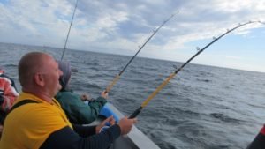IMG_0884-800x450