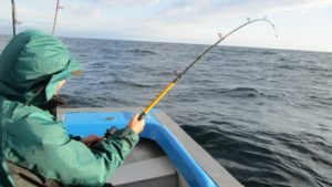 IMG_0893-800x450