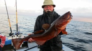IMG_0900-800x450
