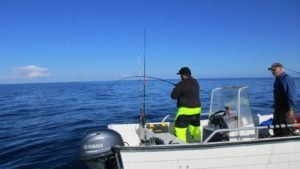 IMG_0991-800x450