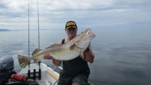 IMG_1032-800x450