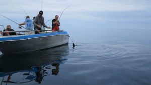 IMG_1039-800x450