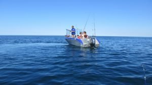 IMG_1136-800x450