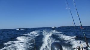 IMG_1143-800x450
