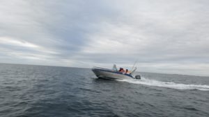 IMG_1148-800x450