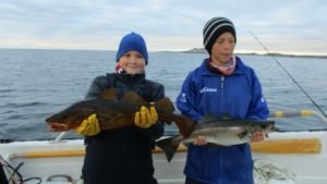 IMG_1159-800x450