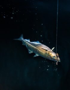 IMG_5864