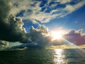 20180825_1911265-800x600